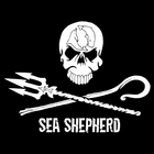 Sea Shepherd icône