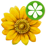 Meine Bachblüten أيقونة
