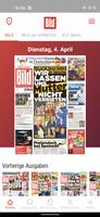 BILD ePaper plakat