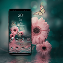 Beautiful Gerbera Theme APK