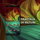 Fractals In Nature Theme APK