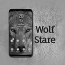 Wolf Stare Theme APK