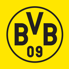 Borussia Dortmund icon