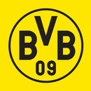 APK Borussia Dortmund
