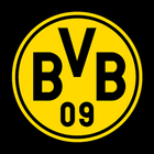 BVB-Hospitality icono