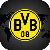 BVB BlackYellow