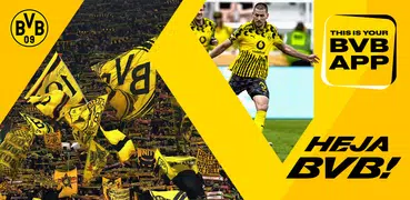 BVB