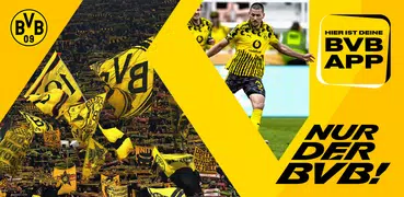 BVB