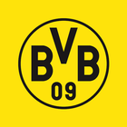 BVB ícone