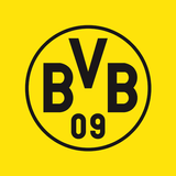 Icona BVB