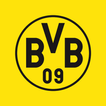 ”BVB