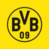 BVB APK