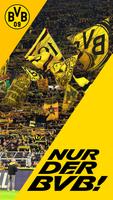 BVB poster