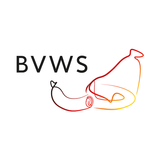 BVWS 圖標