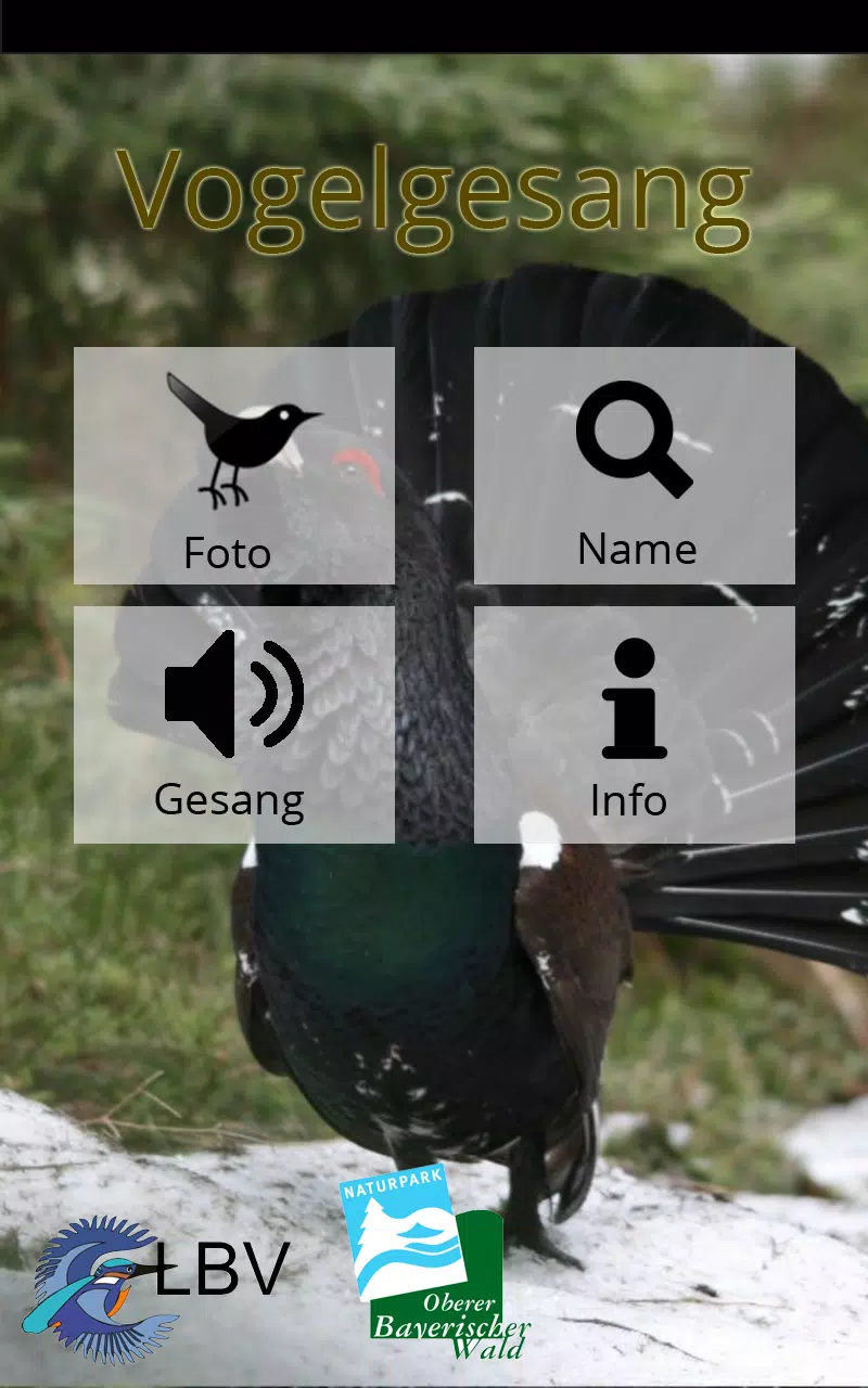 Descarga de APK de Vogelgesang im Oberbay. Wald para Android