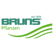 BRUNS online icon