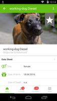 برنامه‌نما working-dog عکس از صفحه
