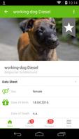 working-dog screenshot 1