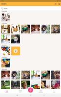 FOTOLINO: Sicher Medien verwalten โปสเตอร์