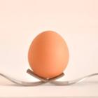 Egg timer icon