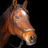 Stallinfo APK