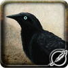 Munin MOD