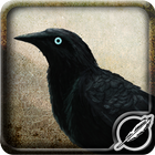 Munin icon