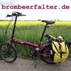 Brombeerfalter ไอคอน