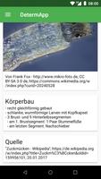 DetermApp Screenshot 3