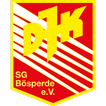 DJK SG Bösperde Handball