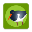Die Vogel App! APK