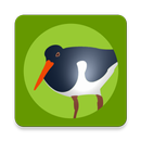 Die Vogel App! APK