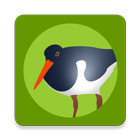 Icona Die Vogel App!
