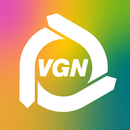 VGN Flow APK