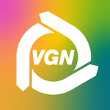 VGN Flow 아이콘