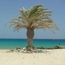 Kreta App für den Urlaub APK