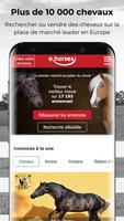 ehorses Affiche