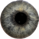 APK Eye Diagnosis