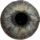 Augendiagnose Zeichen