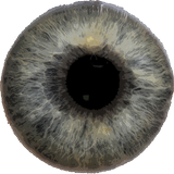 Eye Diagnosis APK