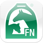 FN icon