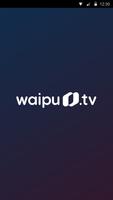 waipu Analyse 海报