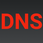 Simple DNS icône