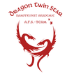 Dragon Twin Star Akademie ícone