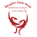 Dragon Twin Star Akademie APK