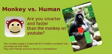 Monkey vs. Human