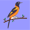 Brehm's Song Birds APK