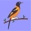Brehm's Song Birds icon