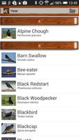 Birdquiz Pro screenshot 1