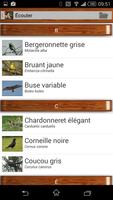 Quiz sur les oiseaux Pro capture d'écran 1